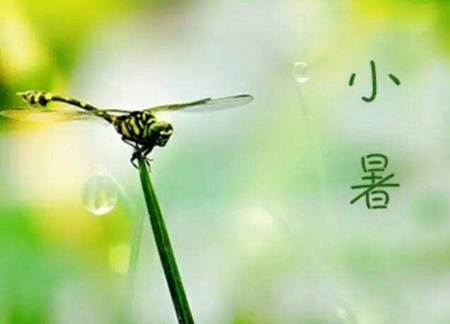 2019年小暑前一天日子適合搬家嗎,2019年小暑幾點幾分？(圖文)