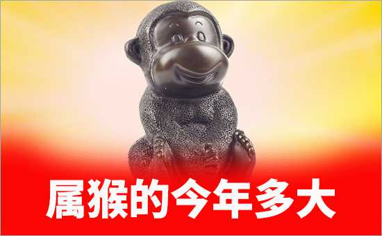 屬猴的今年多大