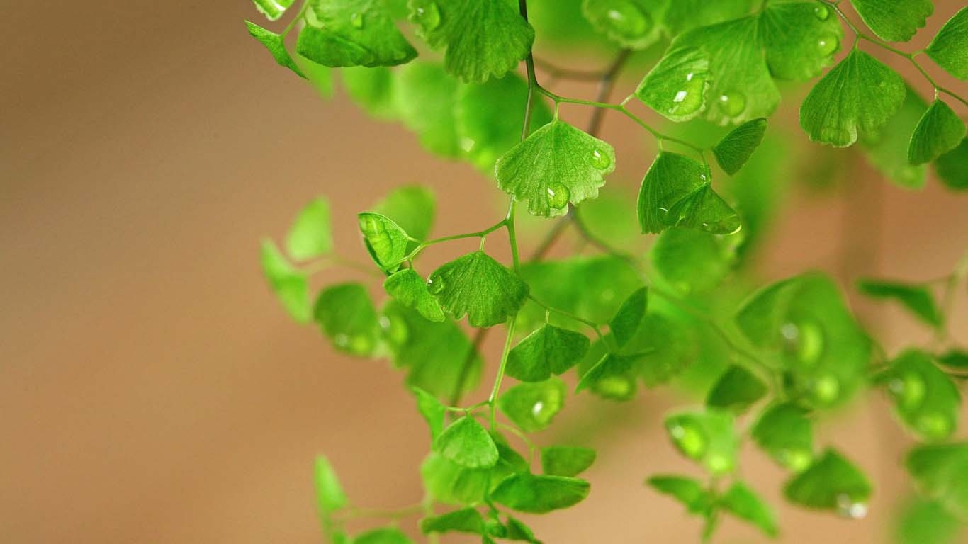 2019年農歷九月初三祈福適不適合今日卦象如何？(圖文)