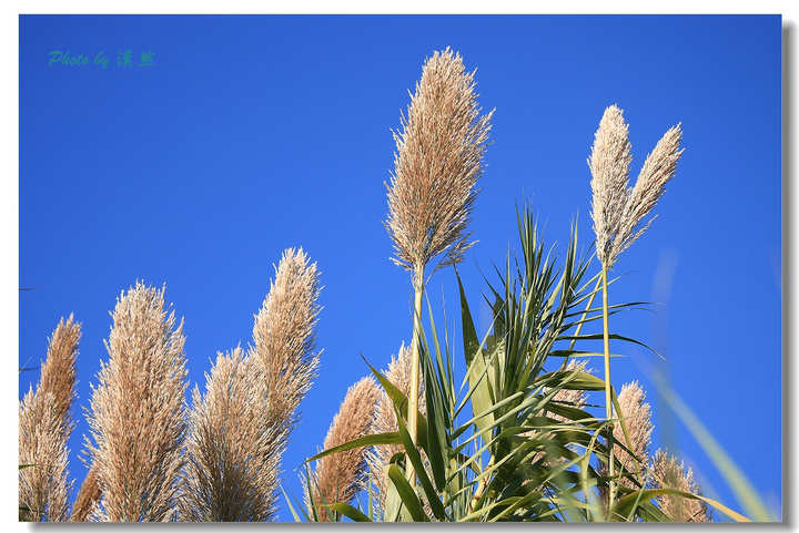 2019年農歷九月二十二日可不可以去祈福 今天祈福吉利嗎?(圖文)