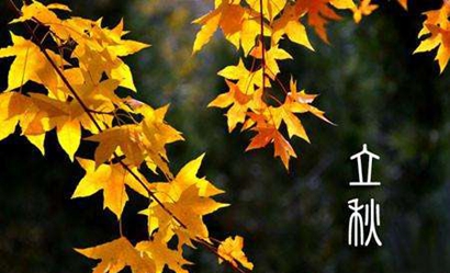 立秋貼秋膘是什么意思 立秋貼秋膘要注意什么？(圖文)