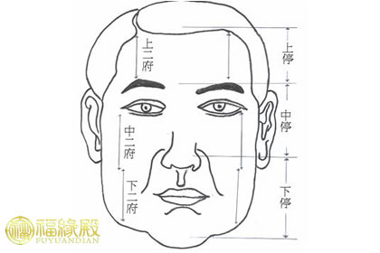 解析：面相六府有何說法？(圖文)