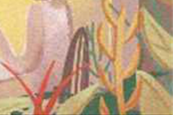 劍鋒金與劍鋒金的婚姻如何(圖文)