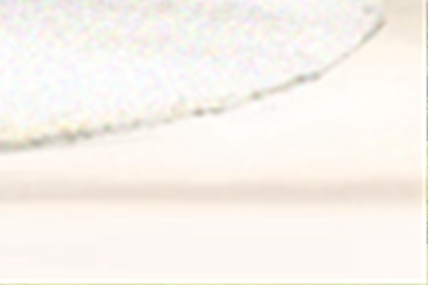 松柏木命好不好(圖文)