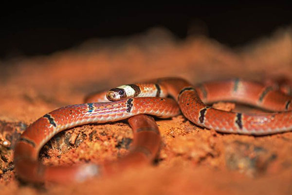 風流薄情女人的面相有何特征？(圖文)