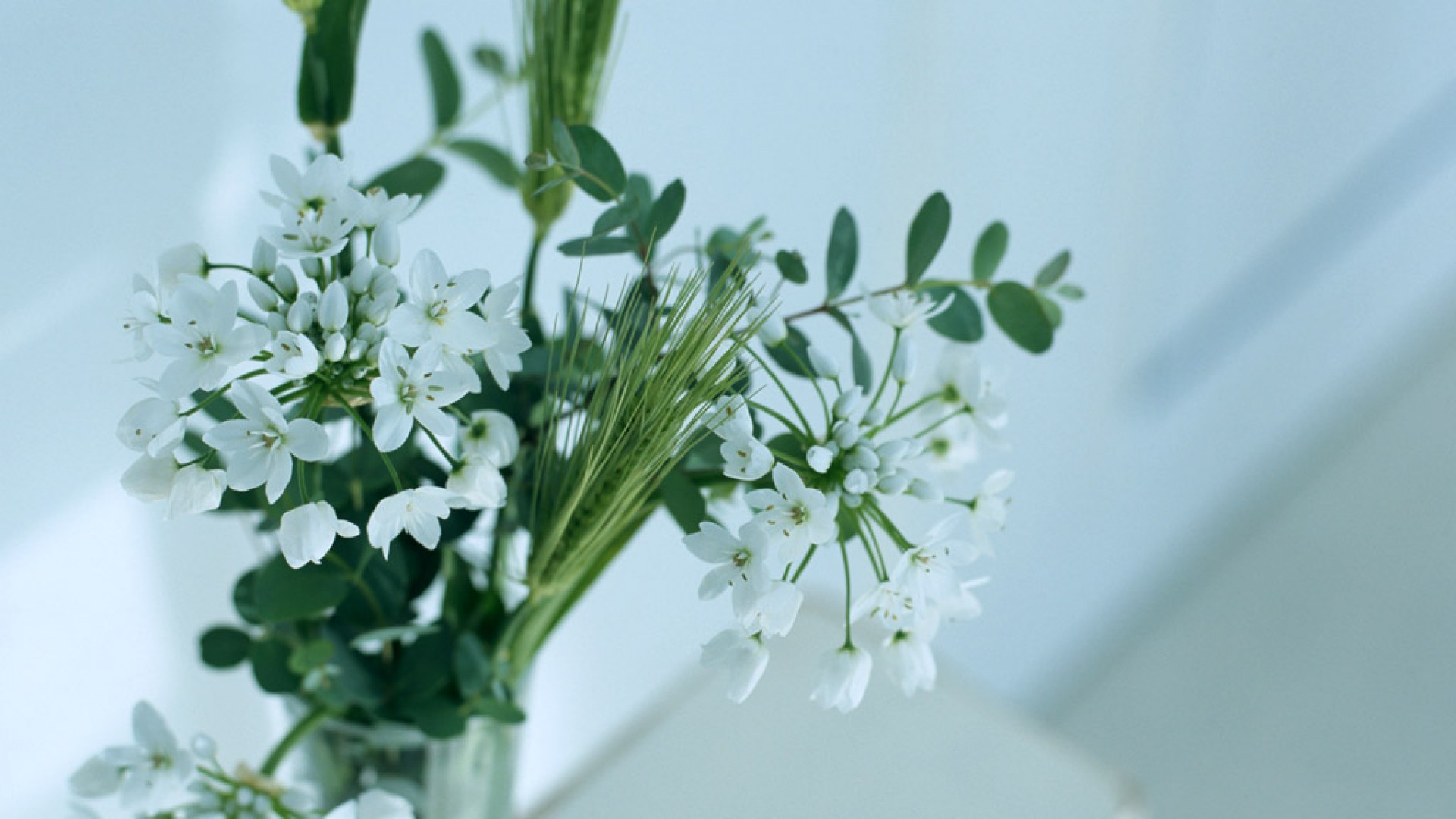 2019年陰歷九月初六祈福吉利嗎 今日卦象好不好?(圖文)