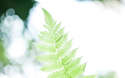 2019年農歷八月二十五日秋分是不是祈福吉日?(圖文)