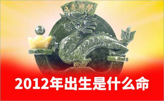 2012年是什么命