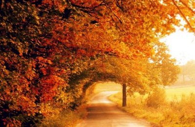 2019年農歷八月二十六日是幾號 適合出行嗎？(圖文)