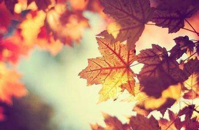 2019年農(nóng)歷九月二十七黃歷宜忌是什么可以掃墓祭祖嗎？(圖文)