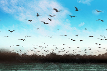 什么面相的女同學最好別去惹(圖文)