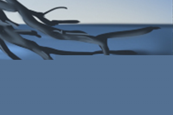 飯店取什么名字好(圖文)