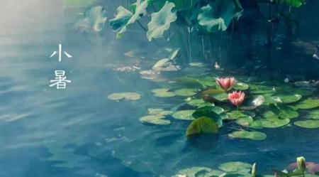 2019年7月7日小暑適合買房立券嗎,小暑后一個節氣是什么?(圖文)