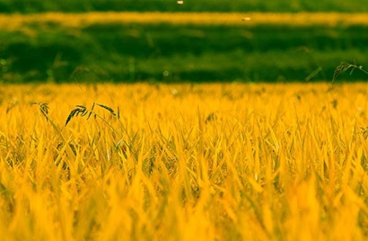 2019年農(nóng)歷八月十九是理發(fā)剪頭發(fā)的吉日嗎？(圖文)