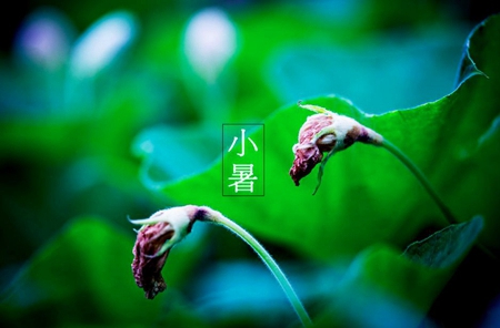 2019年7月7日小暑出行日子好不好,小暑是什么意思?(圖文)