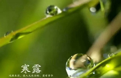 2019年農(nóng)歷九月初十寒露節(jié)氣出生的男寶寶命運(yùn)是好是壞?(圖文)