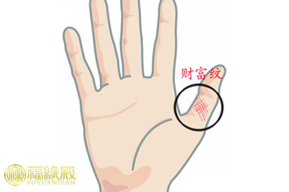 手相學之財富線中隱藏的秘密(圖文)