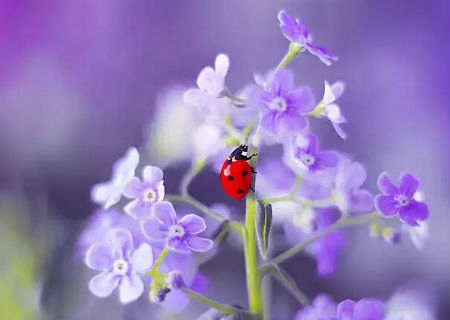 2019年農歷七月初五今天的日子是出殯安葬的吉日嗎？(圖文)