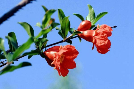 2019年陰歷七月二十九適合燒香祈福嗎，這一天卦象怎么樣？(圖文)