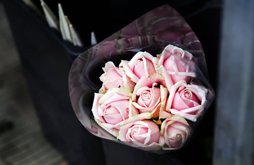 彼特本周星座事業運(2017.9.11-9.17)(圖文)