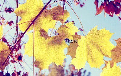 2019立秋具體是什么時間？立秋有什么風俗？(圖文)