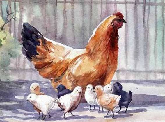 屬雞2020年運勢及運程