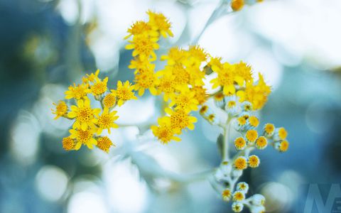 2019年三月十五出生的女寶寶起名(圖文)