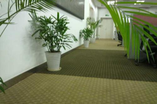 辦公室的擺設(shè)風(fēng)水有什么禁忌(圖文)