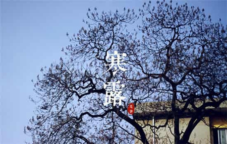 2019年九月初十寒露搬家安床好嗎,2019年寒露是幾月幾日?(圖文)