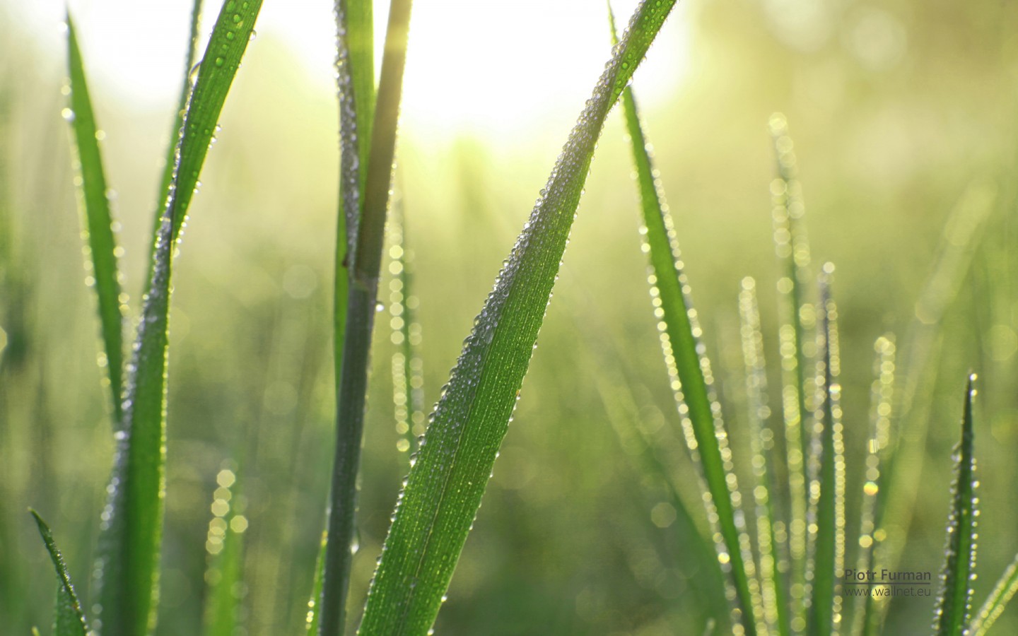 2019年農歷八月二十五日秋分是不是祈福吉日?(圖文)