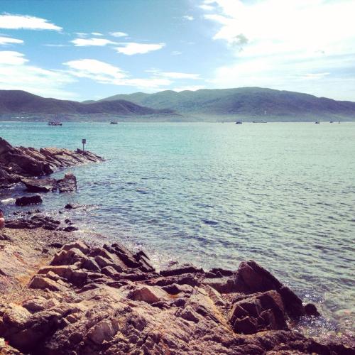 2018年屬蛇的12月份運(yùn)勢怎么樣 2018年屬蛇的12月份運(yùn)勢怎么樣