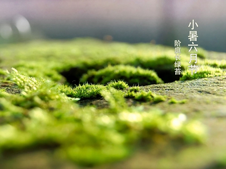 2019年六月初五小暑搬家吉利嗎,2019年小暑前后搬家吉日推薦!(圖文)