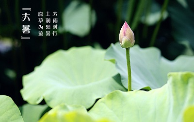 大暑就是入伏了嗎？大暑是入伏第幾天？(圖文)