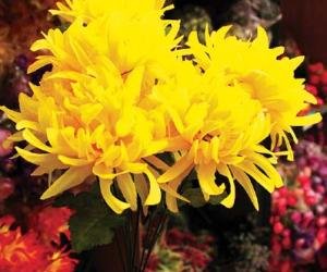 2019年農歷六月二十一適合祭祀嗎祭祀有什么講究?(圖文)