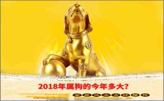 2018年屬狗的今年多大
