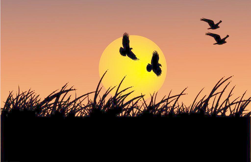 立秋的具體時間是怎么算出來的？立秋的由來是怎樣的(圖文)