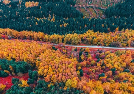 2019年立秋之后是什么節氣處暑嗎，2019年立秋這天是吉日嗎？(圖文)