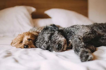 2019年農(nóng)歷八月初四安床吉不吉利,安床有何講究？(圖文)