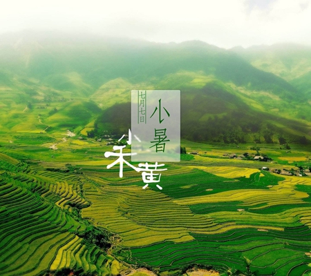 “小暑黃鱔賽人參”是什么意思,小暑吃黃鱔有什么說法?(圖文)