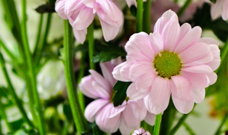 2019年陰歷七月二十九適合燒香祈福嗎，這一天卦象怎么樣？(圖文)