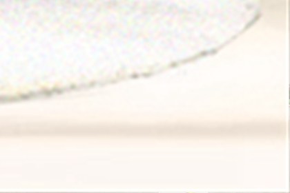 詳解:家里魚缸擺放位置的正確方法(圖文)