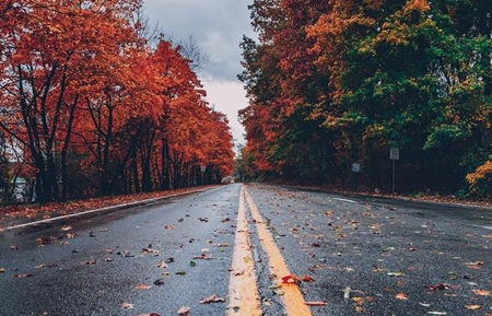 2019年8月8日立秋時辰吉兇查詢，立秋過后就屬于秋天了嗎？(圖文)