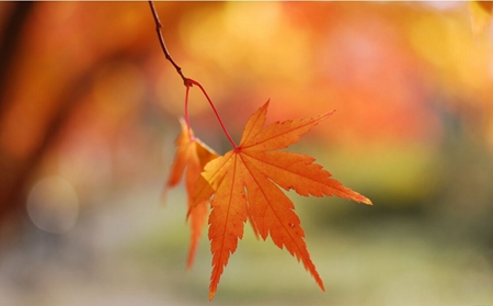 2019年立秋忌諱夫妻同房嗎,立秋還有什么禁忌要注意?(圖文)