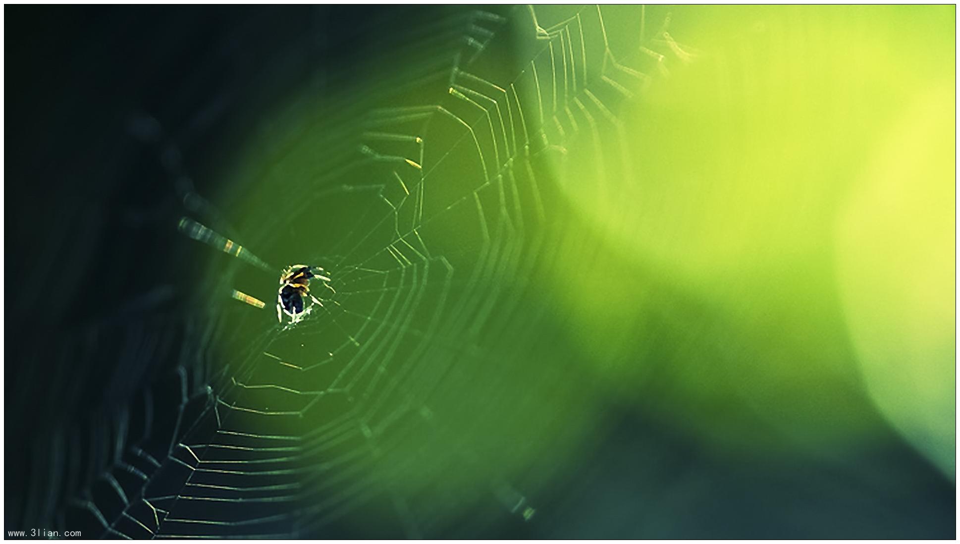 2019年農歷九月初一是黃道吉日好日子嗎?(圖文)