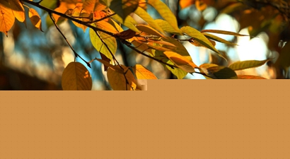 2019年農歷九月十二是理發吉日嗎沖什么生肖?(圖文)