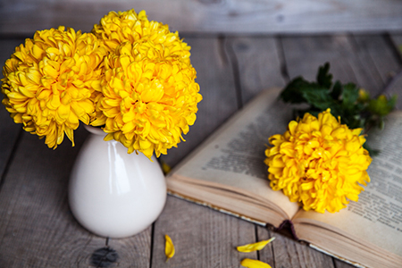 屬牛人2020年四月運(yùn)勢