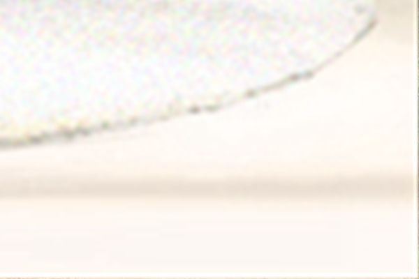 壁上土和平地木相克嗎(圖文)