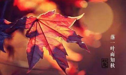 立秋和秋分有什么區(qū)別 立秋是秋天的首座天嗎(圖文)