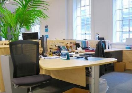 辦公室風水字畫哪幾種不能掛(圖文)