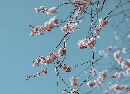 2019年八一建軍節(jié)買房日子合適嗎，八一建軍節(jié)是為了紀(jì)念什么？(圖文)